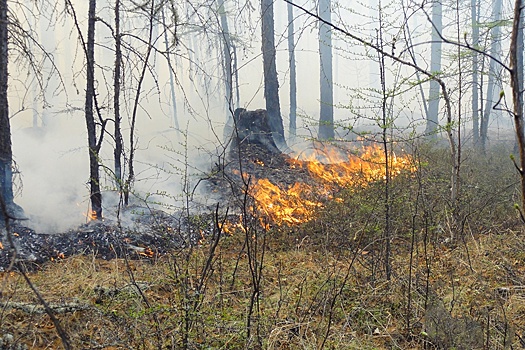 В Якутии начался пожароопасный сезон, есть первые очаги возгораний