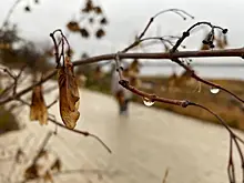 Народные приметы на 10 декабря: что нельзя делать в этот день