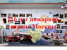 Спасатели в Москве вытащили котенка из 4-метрового колодца