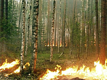 Главные новости за ночь: природные пожары в России, Знамя Победы в космосе и лечение зубов леопарда в Сочи