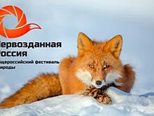 Фотовыставка «Первозданная Россия» впервые пройдёт в Иркутске