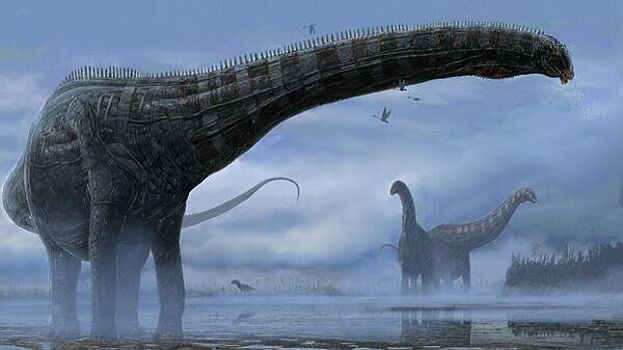 В Китае нашли новые окаменелости динозавров