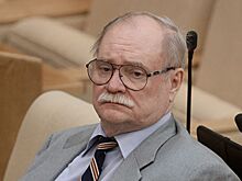 Бортко стал самым богатым среди "звездных" депутатов в 2018 году