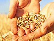 С их санкций. Западные СМИ беспокоит захват Россией продовольственных рынков