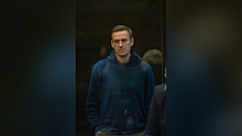 Гаспарян сравнил голодающего в тюрьме Навального с героем книги «Золотой теленок»