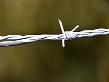 Ежегодный рейтинг свободы СМИ: Россия стабильно в числе худших