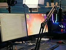 Треш-стримы оперативно заблокируют, их авторов серьезно накажут