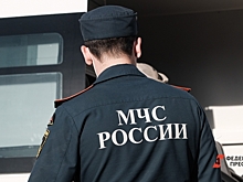 В Республике Алтай произошло землетрясение: жителям советуют собрать еду и теплые вещи