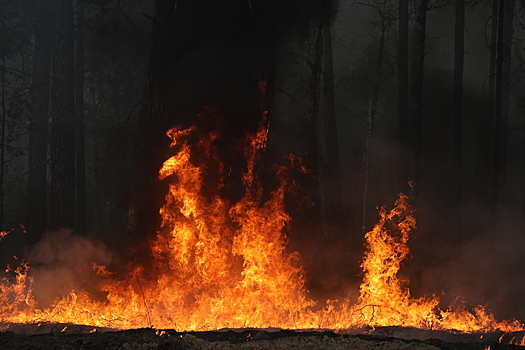 Лесные пожары угрожают автомобилистам в ХМАО