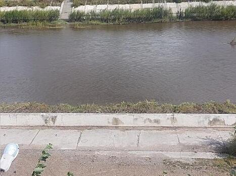 В Чите при очистке русла городской реки уничтожают береговую растительность