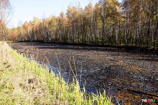 Прокуратура выяснила, откуда в Ярославле появилось нефтяного озеро