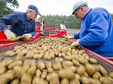 В ПФР рассказали о надбавке для одной категории пенсионеров