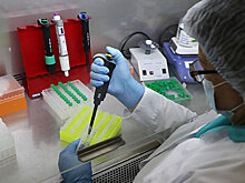 В России заявили о завозе нового штамма COVID-19 «омикрон»