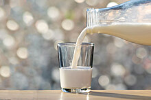 Себестоимость производства молока в РФ может вырасти в 2020 году на 12%