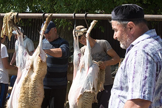 Ставрополье увеличит поставки баранины в Египет