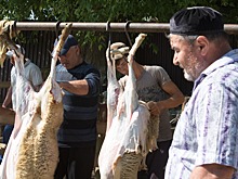 Ставрополье увеличит поставки баранины в Египет