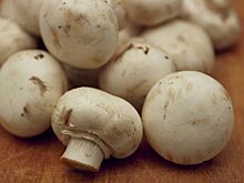 При каких болезнях нельзя есть грибы