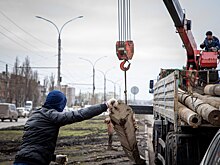 Газон защитят бетонные блоки