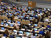 Госдума развернула альтернативный законопроект об ужесточении наказаний за пытки