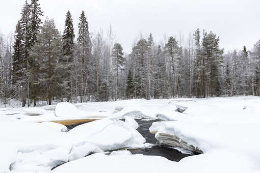 В Омске троих мужчин задержали за похищение человека