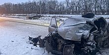 На трассе в Ростовской области погиб водитель