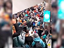 Предновогодний ажиотаж: в московских аэропортах образовались огромные очереди 