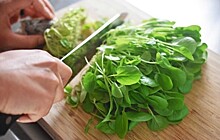 Как зеленые листовые овощи защищают здоровье печени?