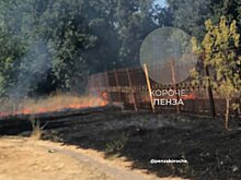 Сбивали пламя ветками: на стадионе «Спартак» случился пожар