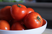 Пять российских знаменитостей оказались в списке любителей выращивать помидоры