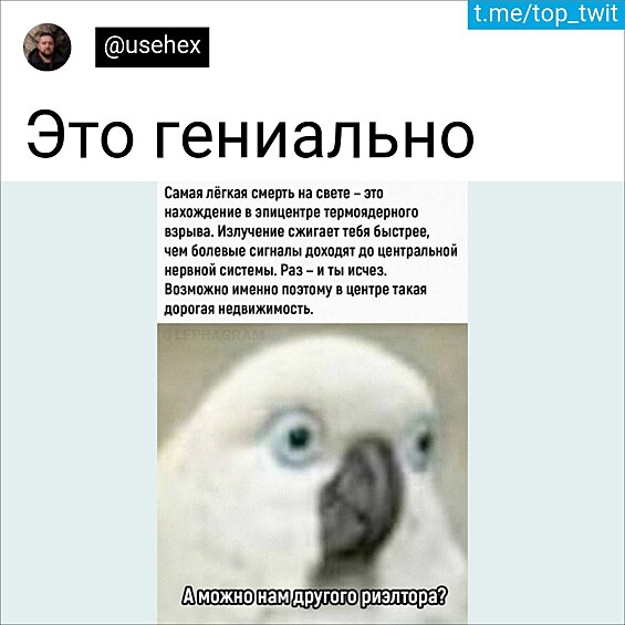Новые времена, новые риелторы.