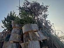На Ставрополье на Крещение готовят детские купели с горячей водой и самый большой костер