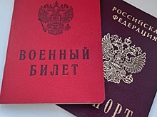 Гражданство под угрозой: правительство поддержало закон против уклонистов