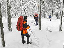 Загадочное исчезновение семьи с пятилетней дочерью в тайге шокировало россиян. Что говорят основные версии их пропажи?