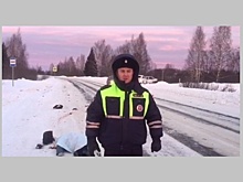 Двух пешеходов насмерть переехали на трассе в Шахунском районе