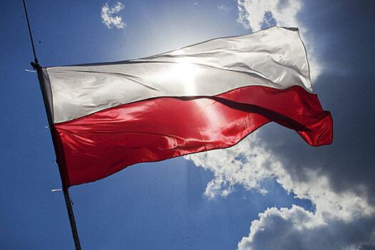 Польша требует возместить ущерб от грязной нефти из России