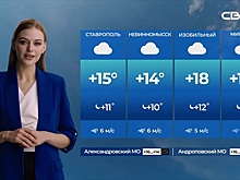 Нейросеть, читающая мысли