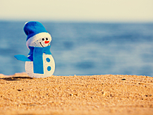 Стало известно, куда россияне повезут детей на зимних каникулах