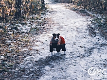 Октябрь закончится нетипичным теплом