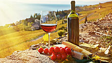 Роскачество предложило приравнять вино к сельхозпродуктам