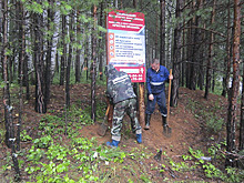 Более 1 миллиона новых лесных насаждений появится в военных лесах до конца 2018 года