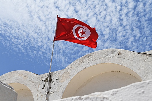 Первый тур голосования на выборах в верхнюю палату парламента прошел в Тунисе