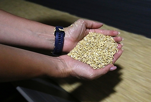 СМИ: Американская Cargil прекратит экспорт зерна из России