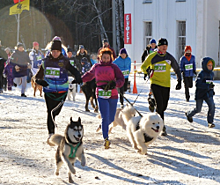 Чтобы помочь приютам для животных, челябинцы пробегут марафон с собаками