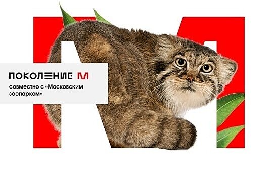 Кировские школьники могут выиграть индивидуальную экскурсию в Московский зоопарк