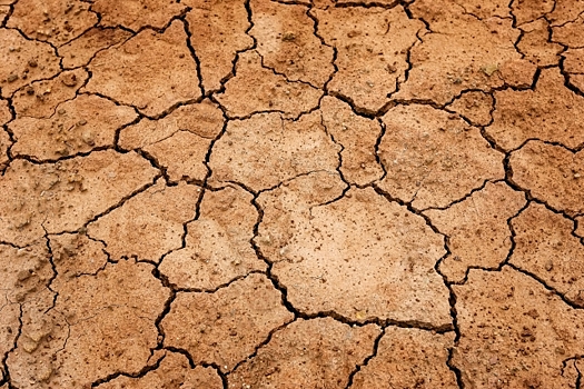 Подготовиться к засухе призвали четыре провинции Индонезии