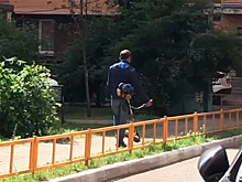 Мигрант попытался подстричь асфальт в Москве и попал на видео