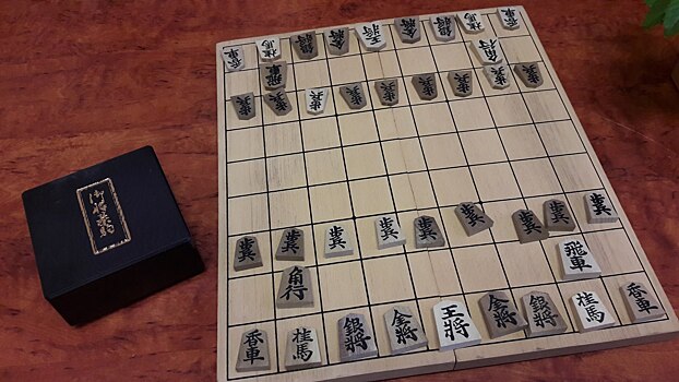 В библиотеке Данте Алигьери открылся кружок по японским шахматам