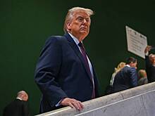 В скандале семьи Бекхемов обвинили Трампа