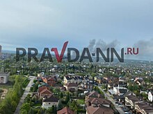 Пожар в СНТ «Маяк» произошел в Нижнем Новгороде