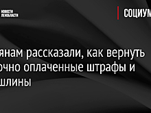 Россиянам рассказали, как вернуть ошибочно оплаченные штрафы и госпошлины